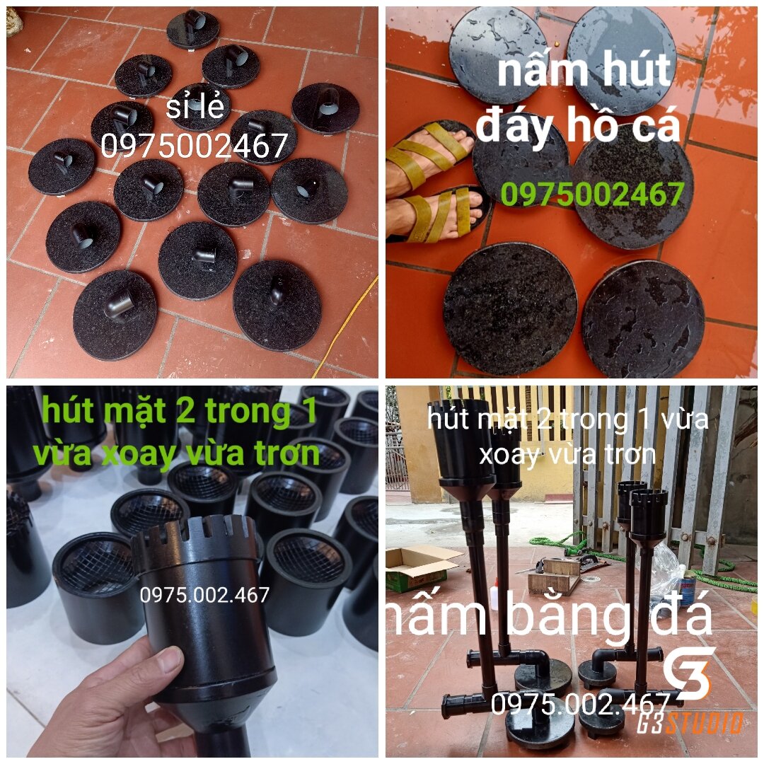 nấm đáy bể cá koi  .nấm đáy hồ cá