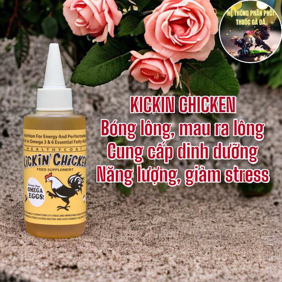 Thuốc gà đá kickin chicken cung cấp dinh dưỡng cho gà tơ 100 ml