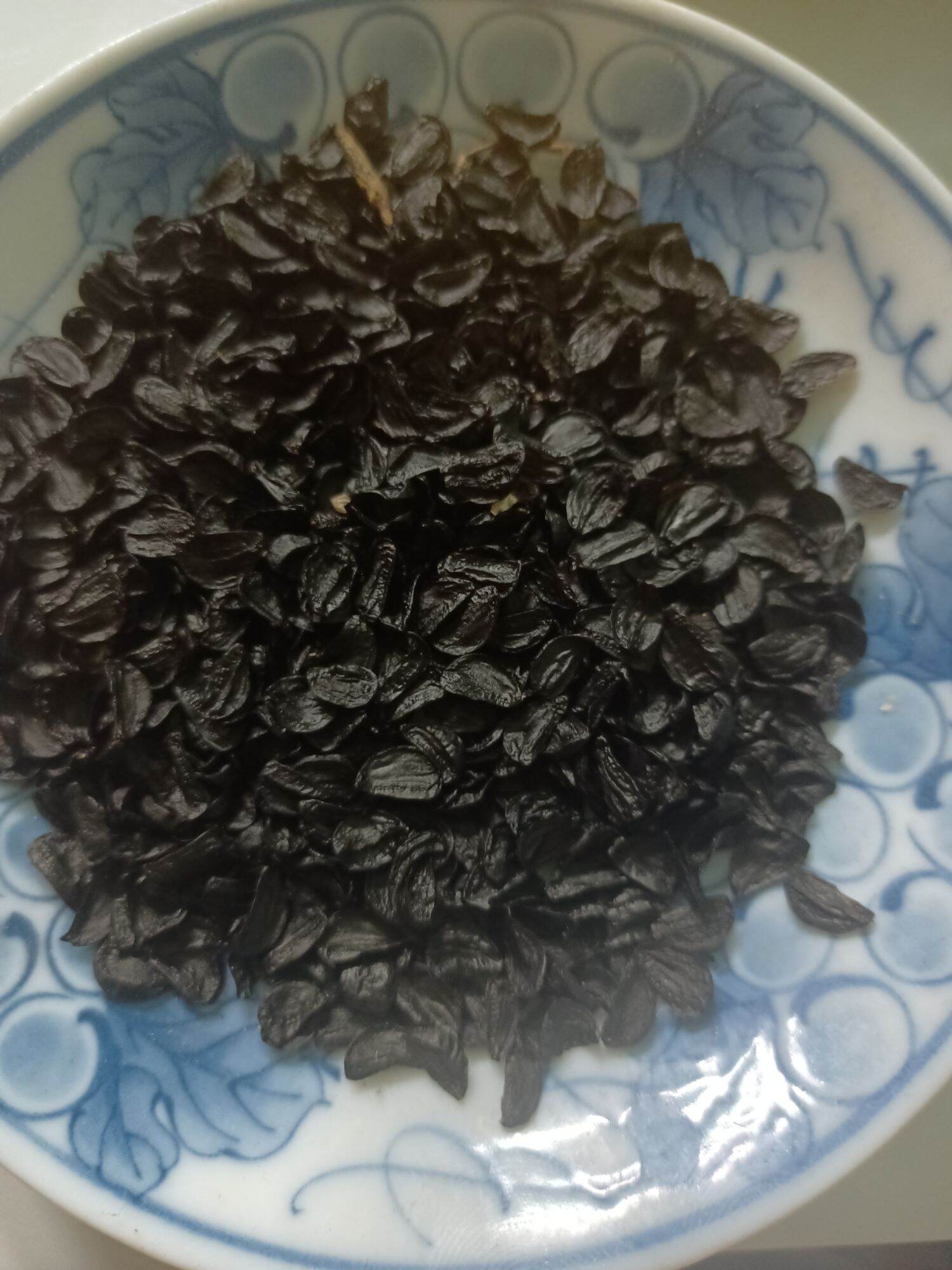 Hạt ngải nàng mơn bông vàng F1 (20 hạt)