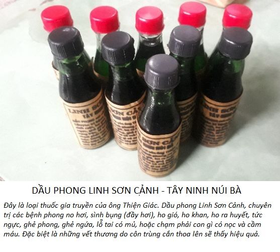 Dầu Phong ông Thiện Giác, chánh gốc Tây Ninh núi Bà