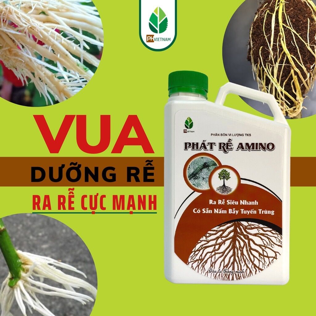 Phân bón phát rễ amino - ra rễ siêu nhanh - thêm nấm bẫy tuyến trùng can 1l