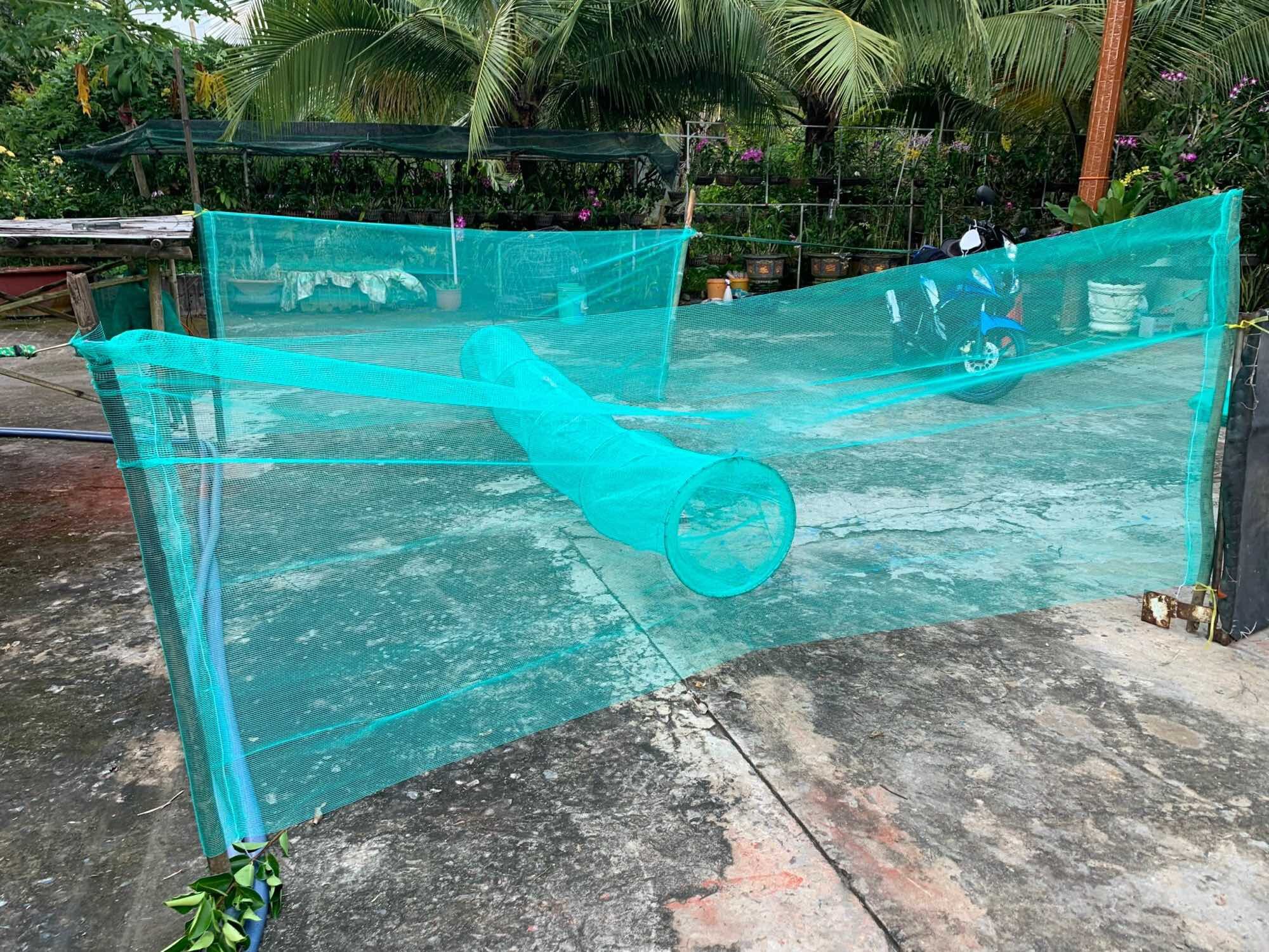 Dớn chặn sông bắt cá (2 ĐẦU CAO 3 TẤT CÓ LỖ THỞ)bắt được cá lươn ếch