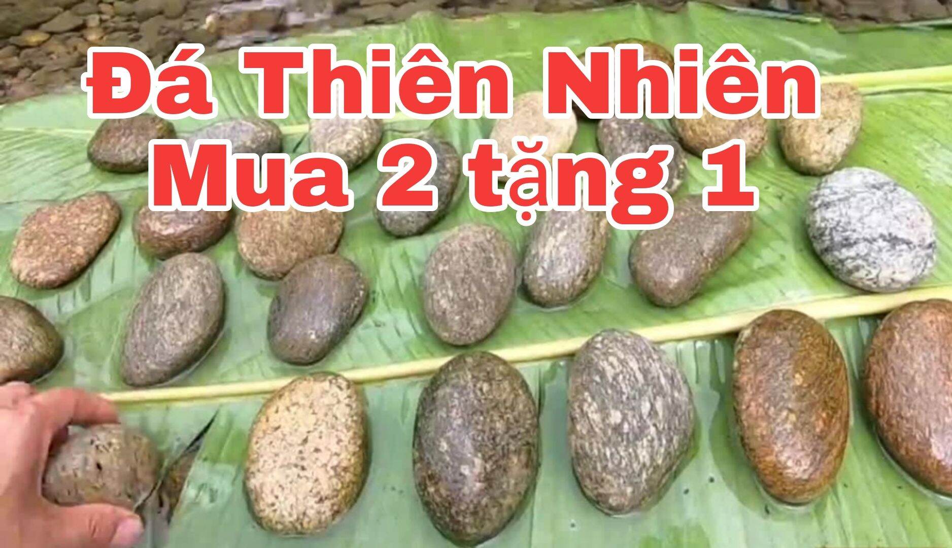 [Hcm]Đá Kỳ Tẩy Da Chết Từ Thiên Nhiên (Siêu Nhám)