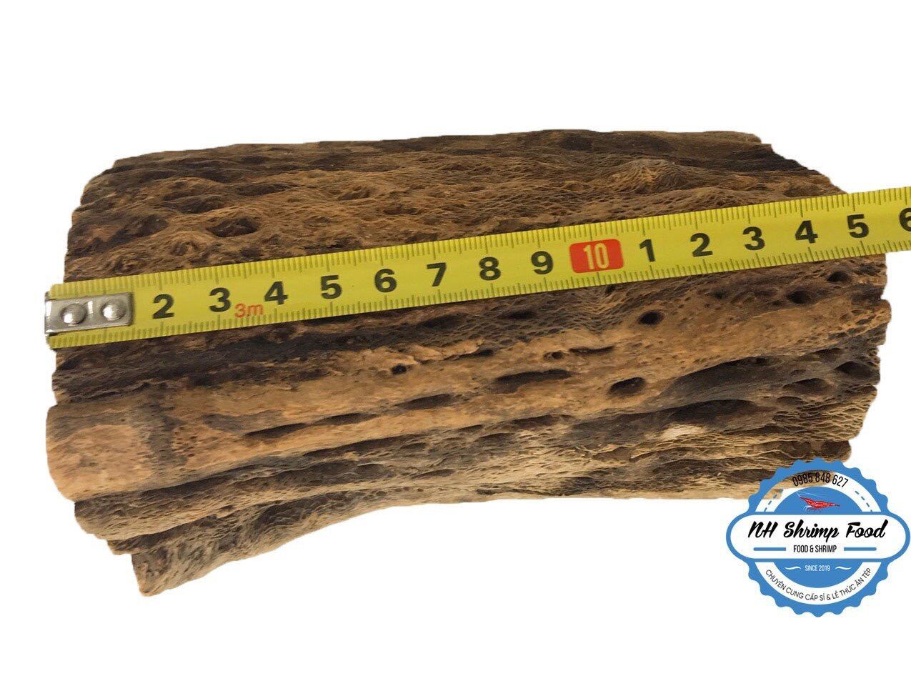 LŨA XƯƠNG RỒNG TEDDY BEAR CHOLLA CACTUS WOOD.