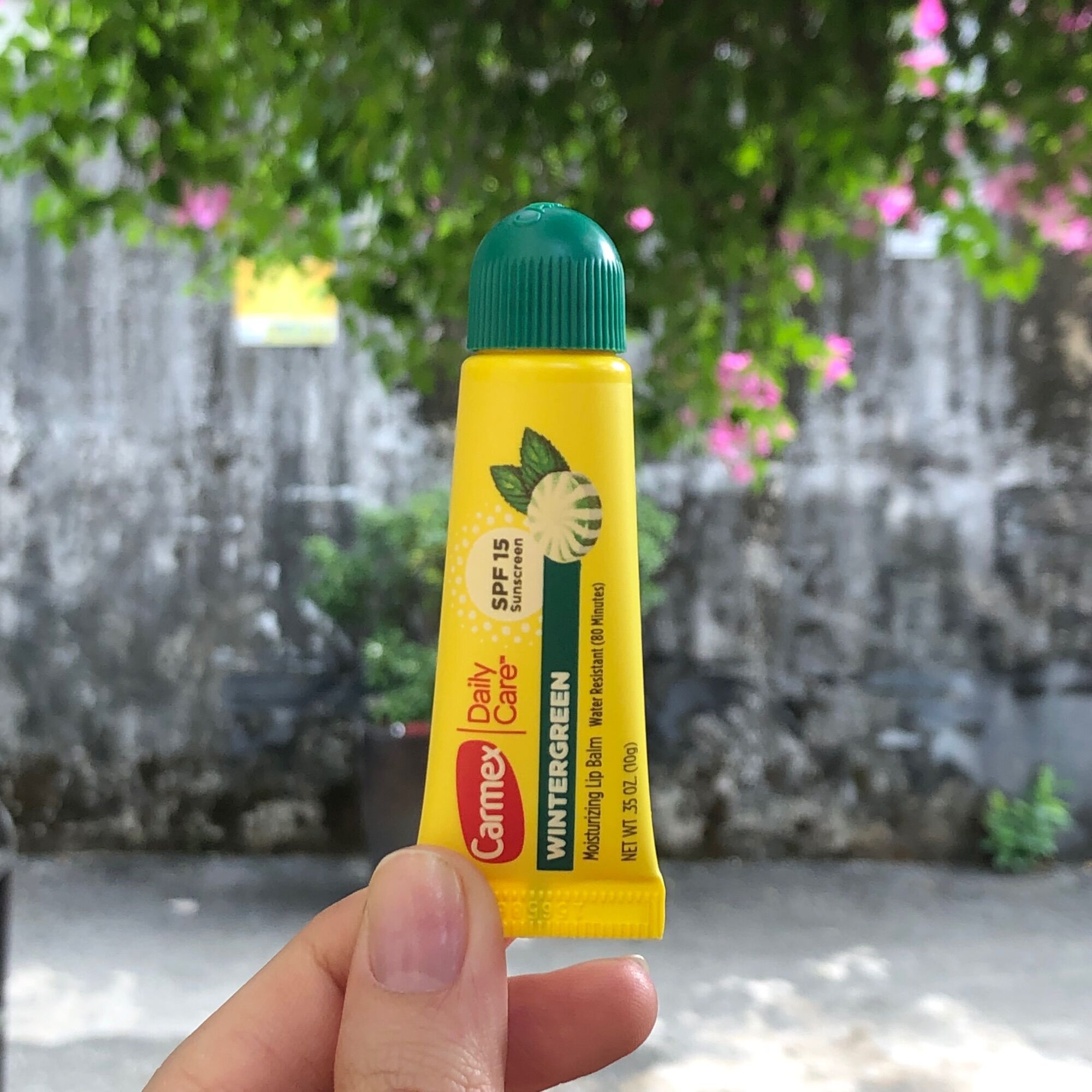 Son dưỡng môi Carmex Moisturizing Lip Balm
