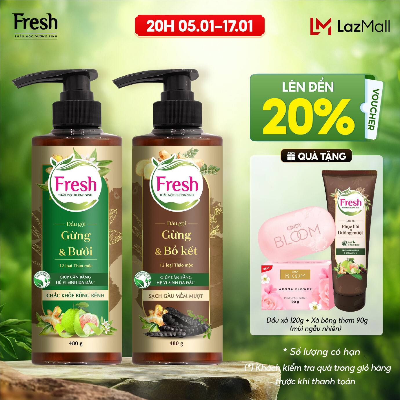 [Phiên bản cao cấp] Combo 2 Dầu gội Fresh Thảo mộc dưỡng sinh Sạch gàu mềm mượt + Chắc khỏe bồng bềnh 480g/chai