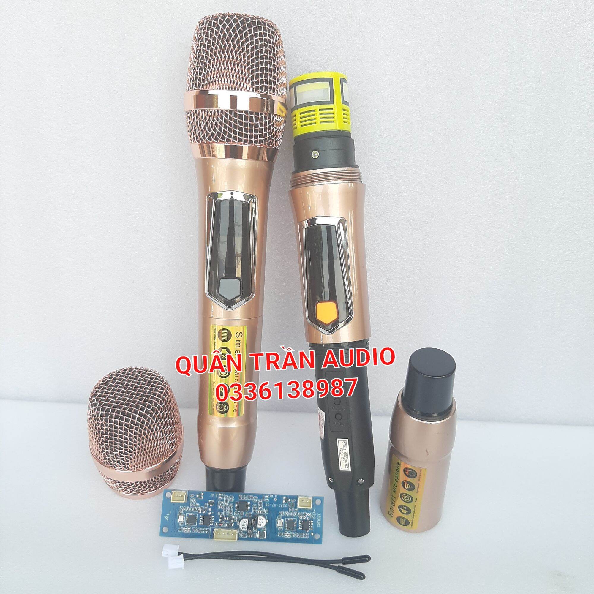 Micro Loa kéo không dây cao cấp sét được tần số