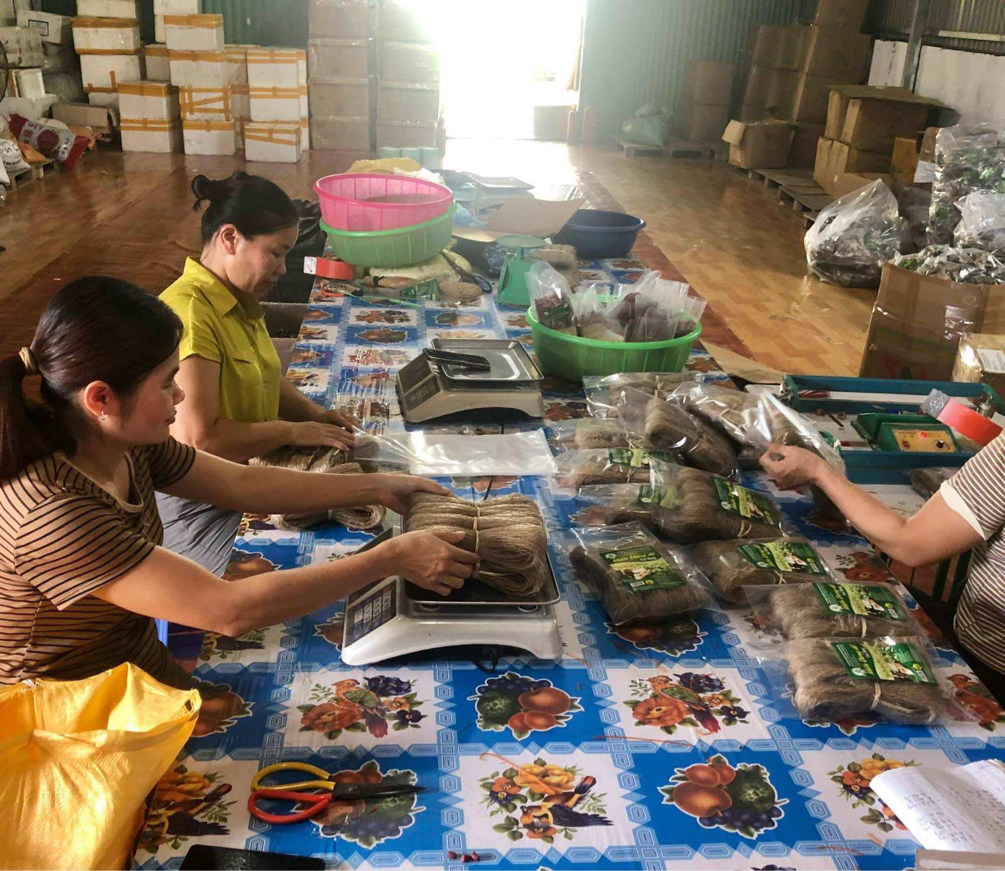 Miến Dong Đỏ Cao Bằng 500gram
