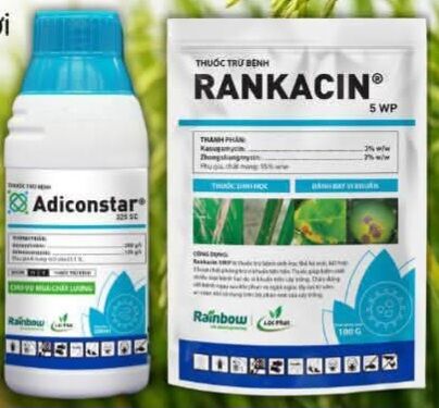 Adiconstar 325 SC Lộc Phát thuốc Phòng bệnh dạng chai 250ml