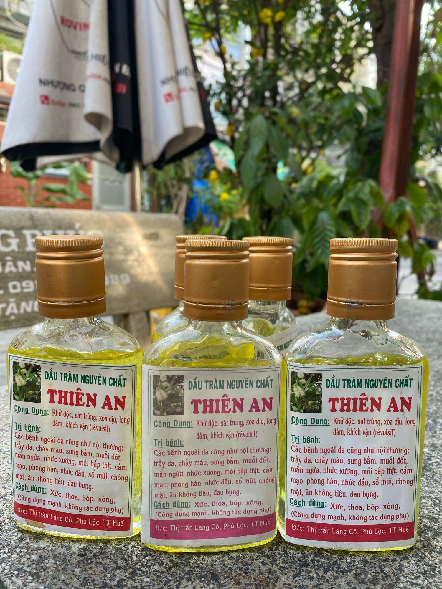 Dầu tràm huế nguyên chất Thiên An 100ml (giá gốc)