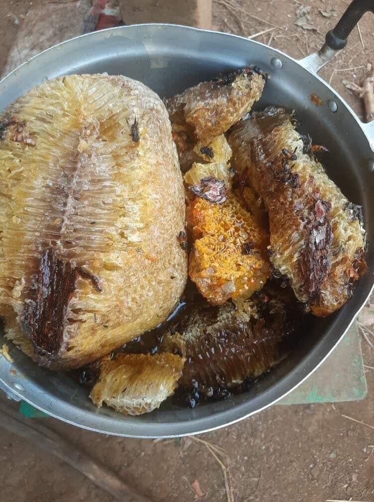Mật ong khoái nguyên sáp 250k/kg