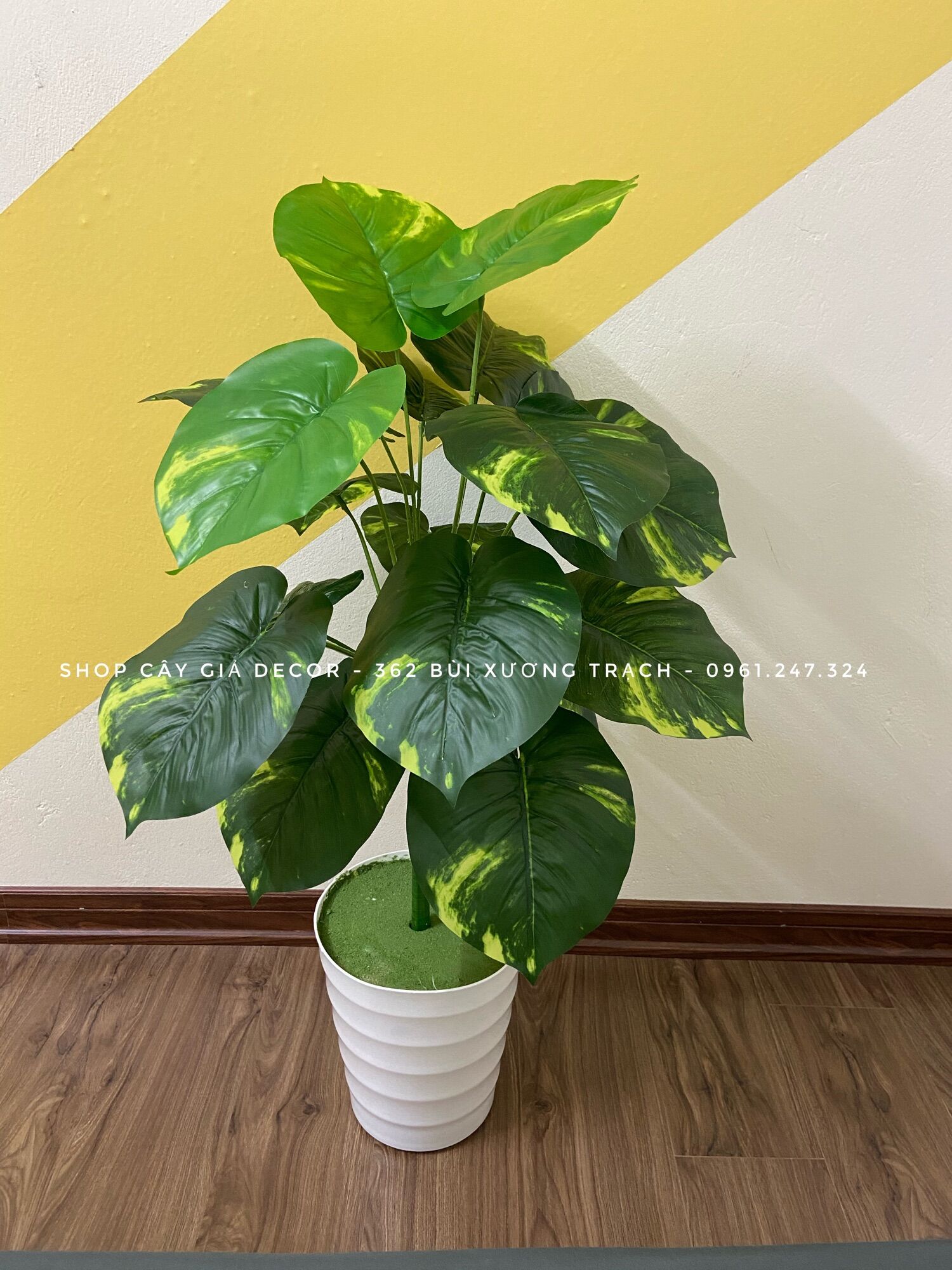 Cây giả - cây trầu bà lá đốm 80cm - vạn niên thanh