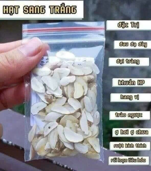 100 lát hạt sang trắng tốt cho dạ dày