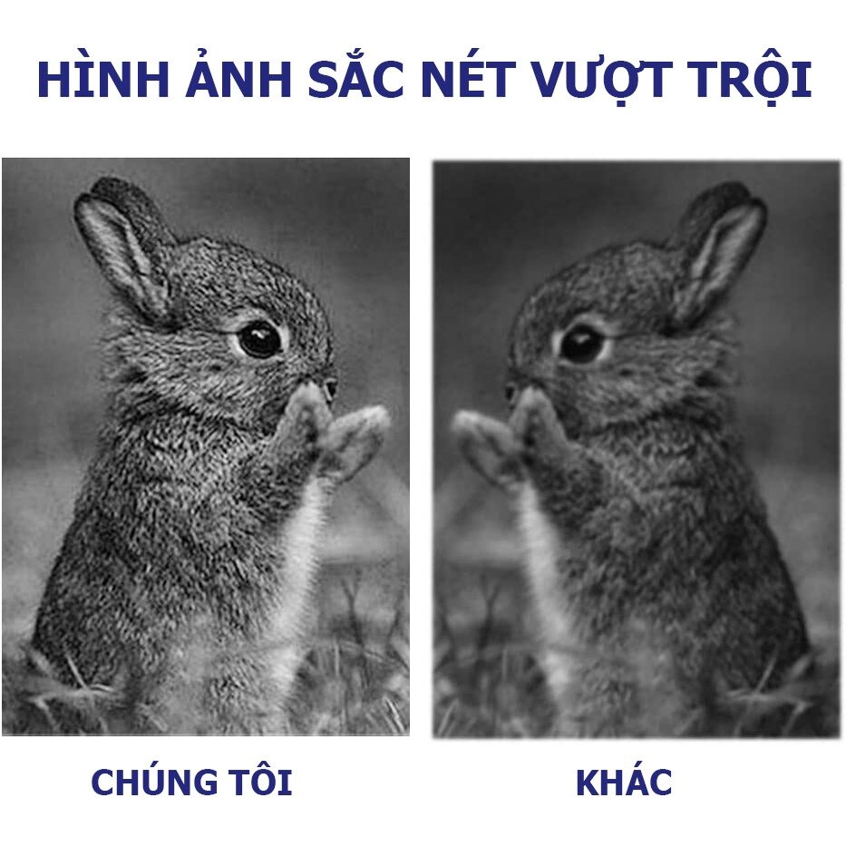 Hộp mực máy in dùng cho máy in HP 1020