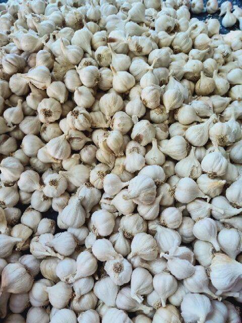 1KG Tỏi khô Phan Rang