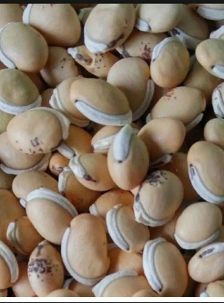 1kg đậu ván nấu chè