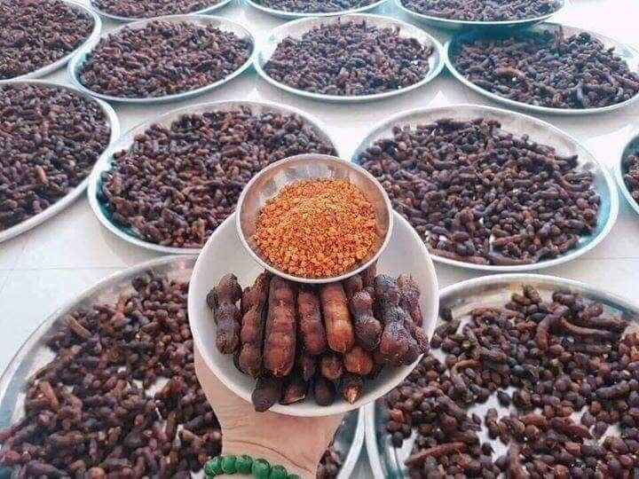 Me Lào Chấm Muối Tôm ( Hộp 500Gr )
