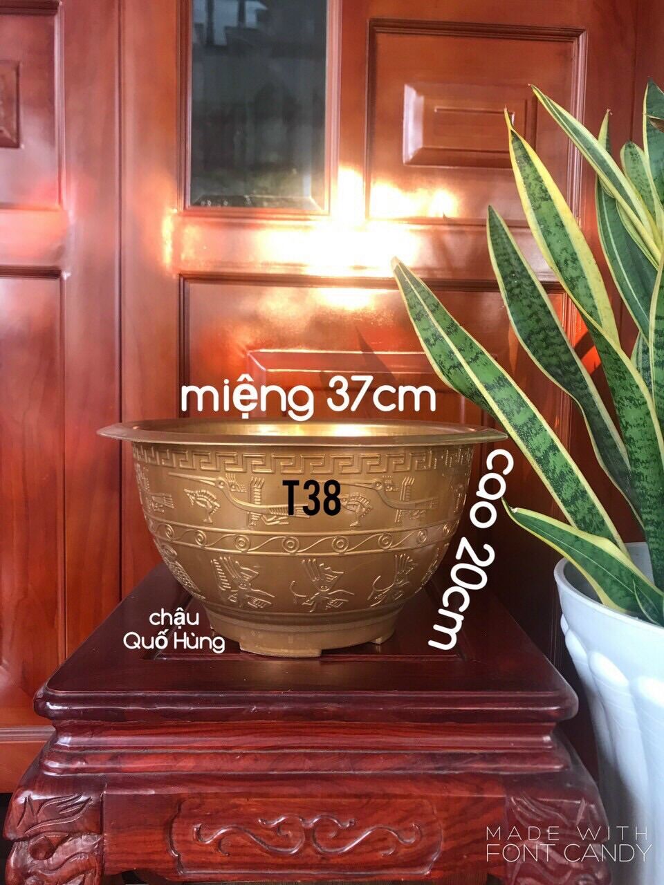 Combo 5 chậu trồng cây T38