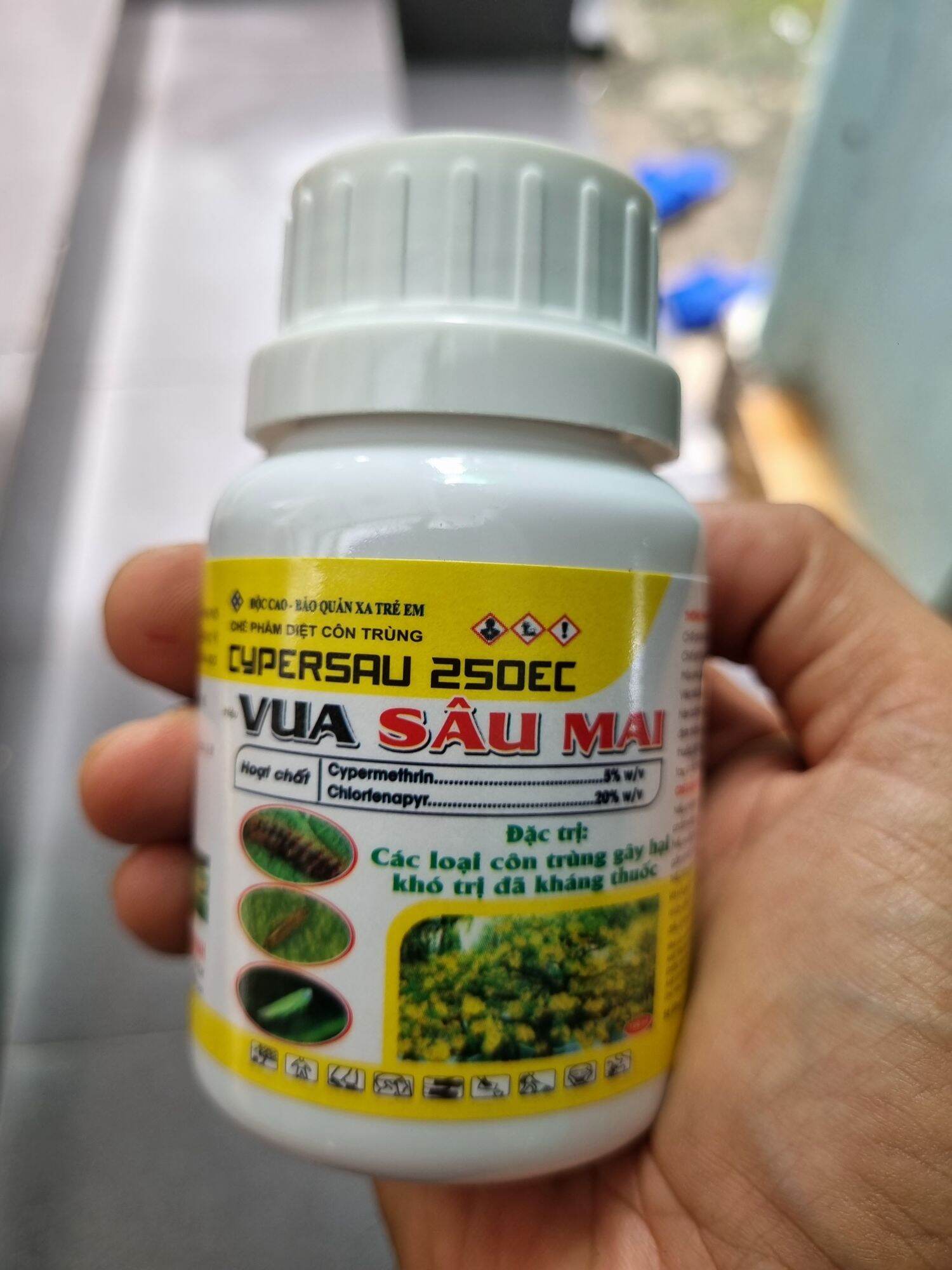 thuốc trừ bọ trĩ nhện sâu trên mai vàng VUA SÂU MAI chai 100cc tặng kèm 1 gói dưỡng rễ 25gram