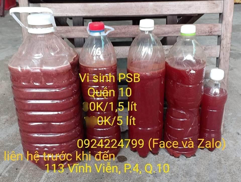 Vi sinh hỗ trợ lọc trong nước PSB