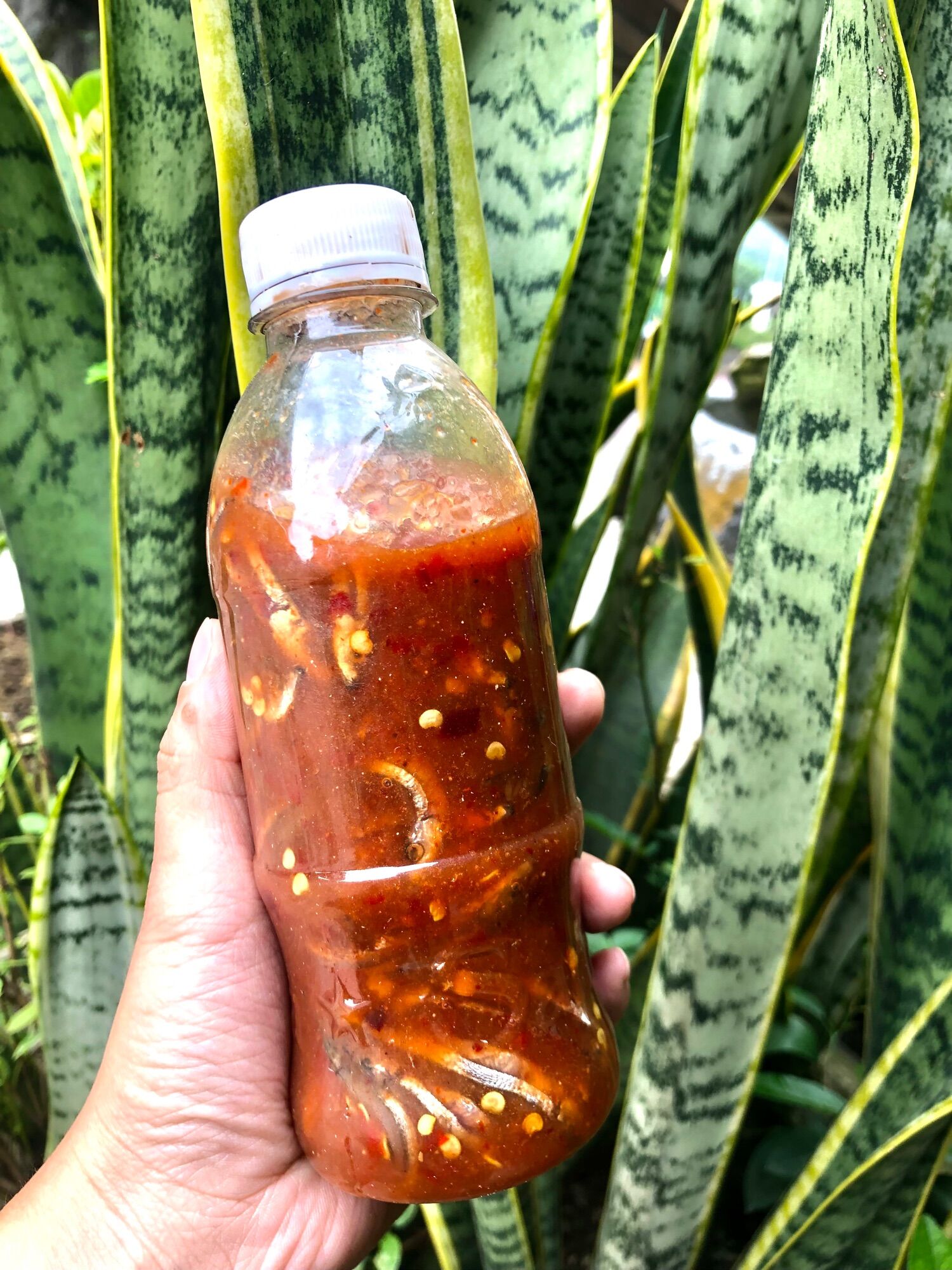 Mắm nêm cá cơm Bình Định 300ml (pha sẵn, nguyên con)