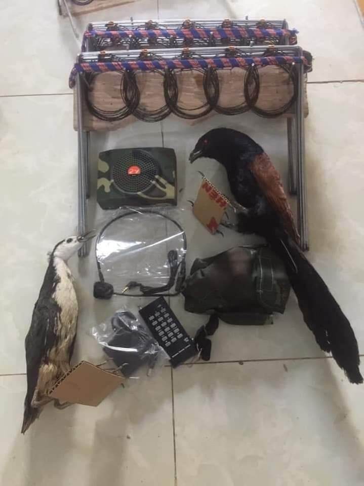 bộ thòng bẫy chồn quốc bịp 10 khung