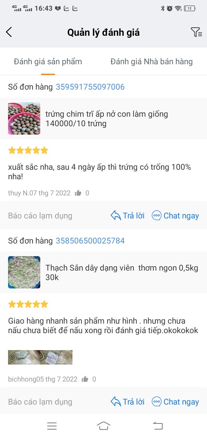 trứng chim trĩ 10 trứng về ấp