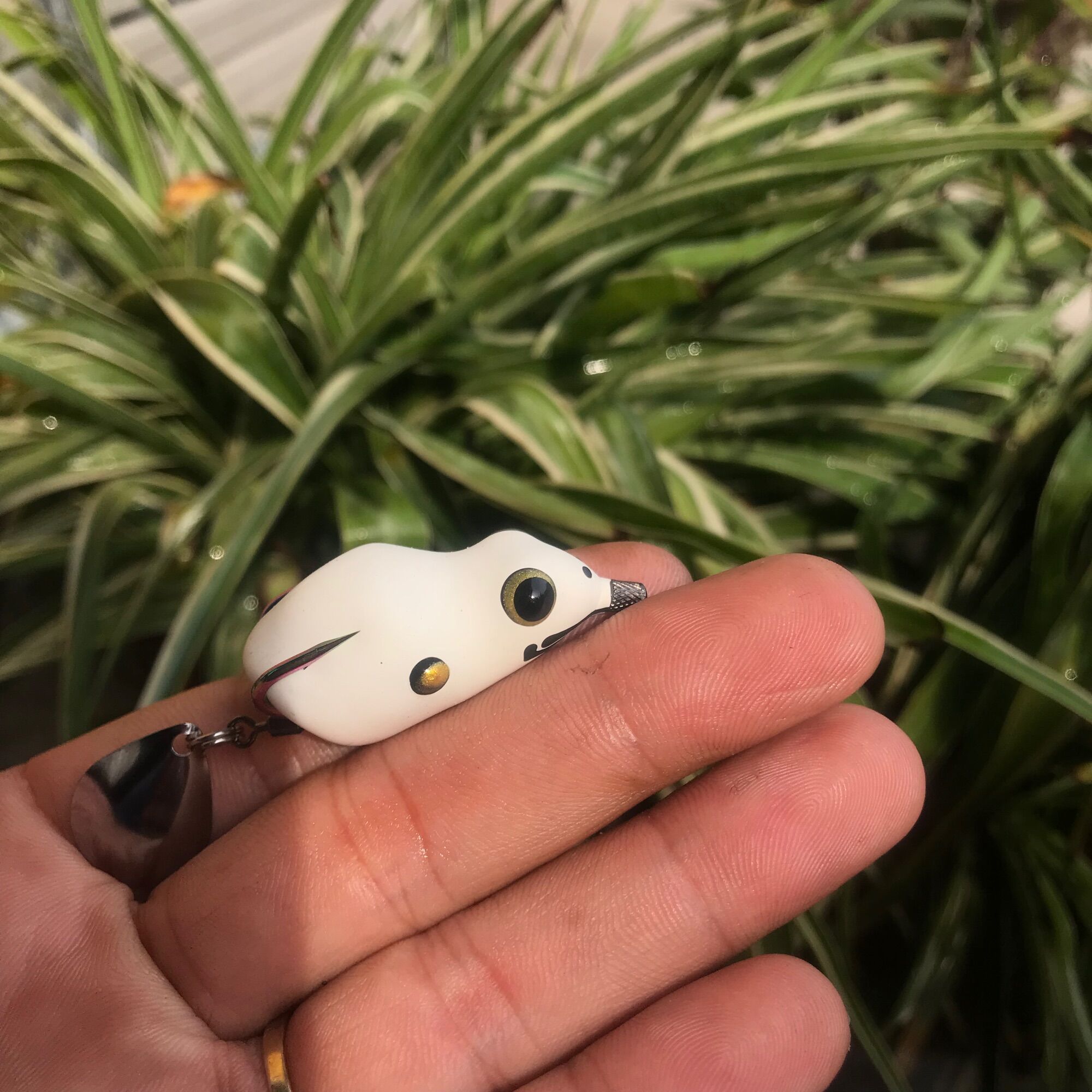 Mồi câu cá lóc k1