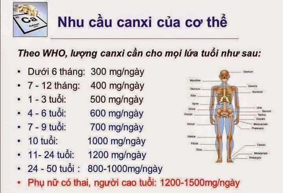 BỔ SUNG CANXI DLC
