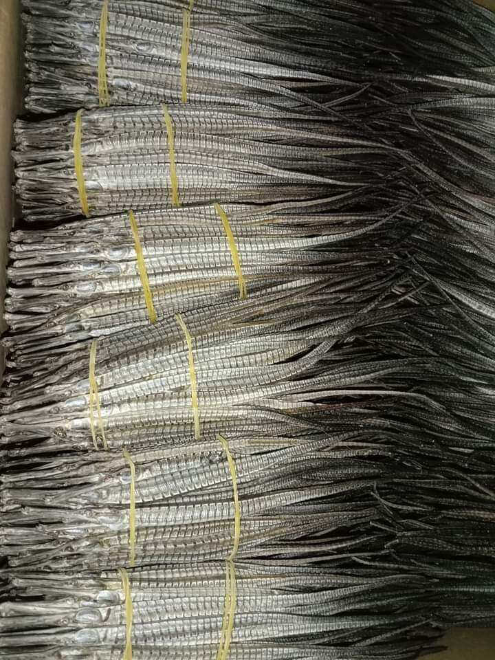 COMBO 10 CON HAI LONG SIZE NHỎ