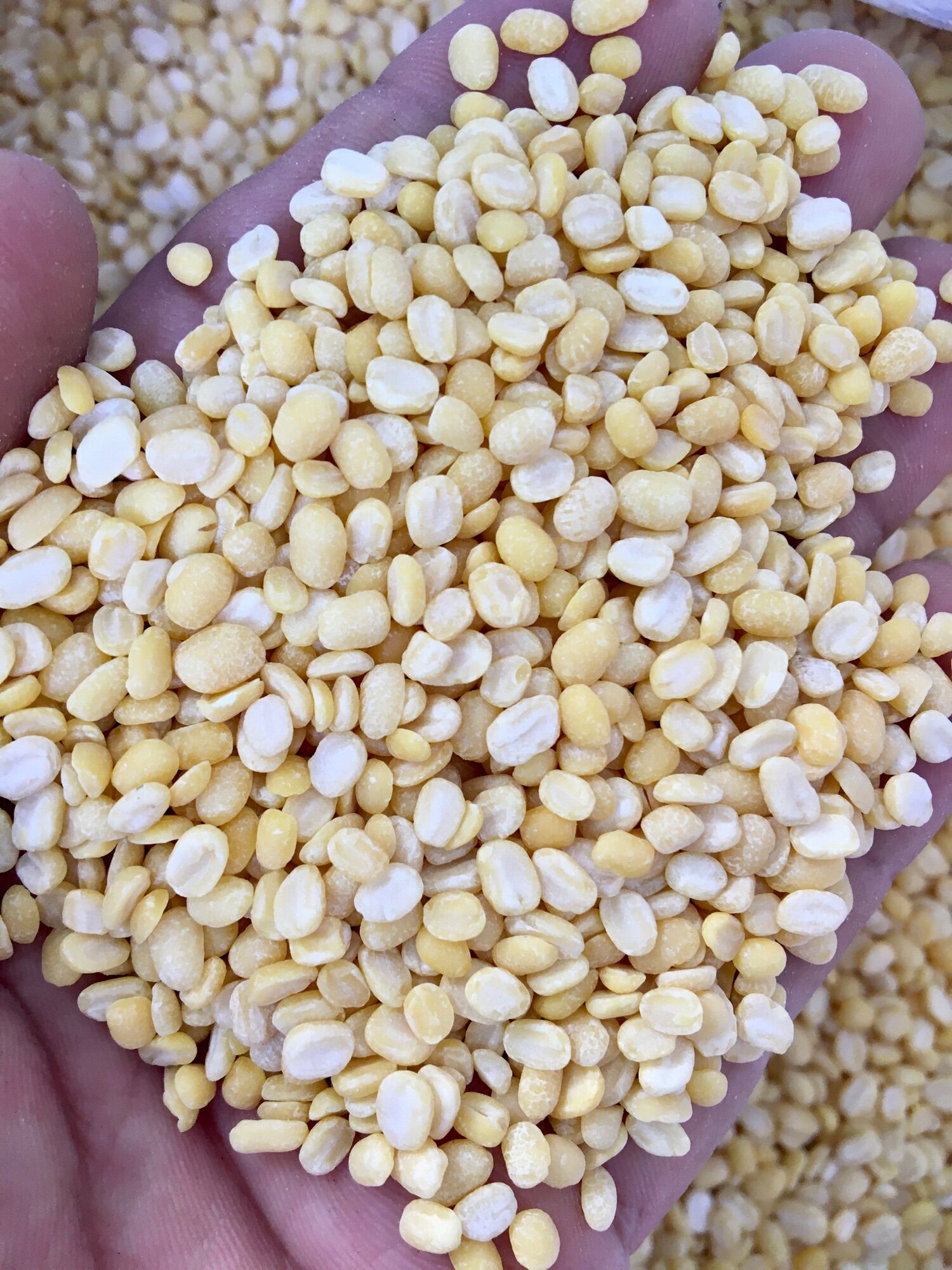 Đậu xanh không vỏ, đỗ xanh không vỏ 1kg