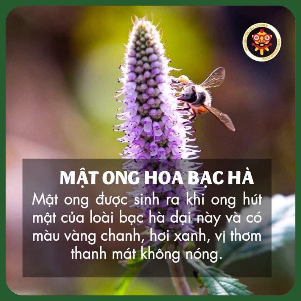 1L MẬT ONG HOA BẠC HÀ NGUYÊN CHÂT