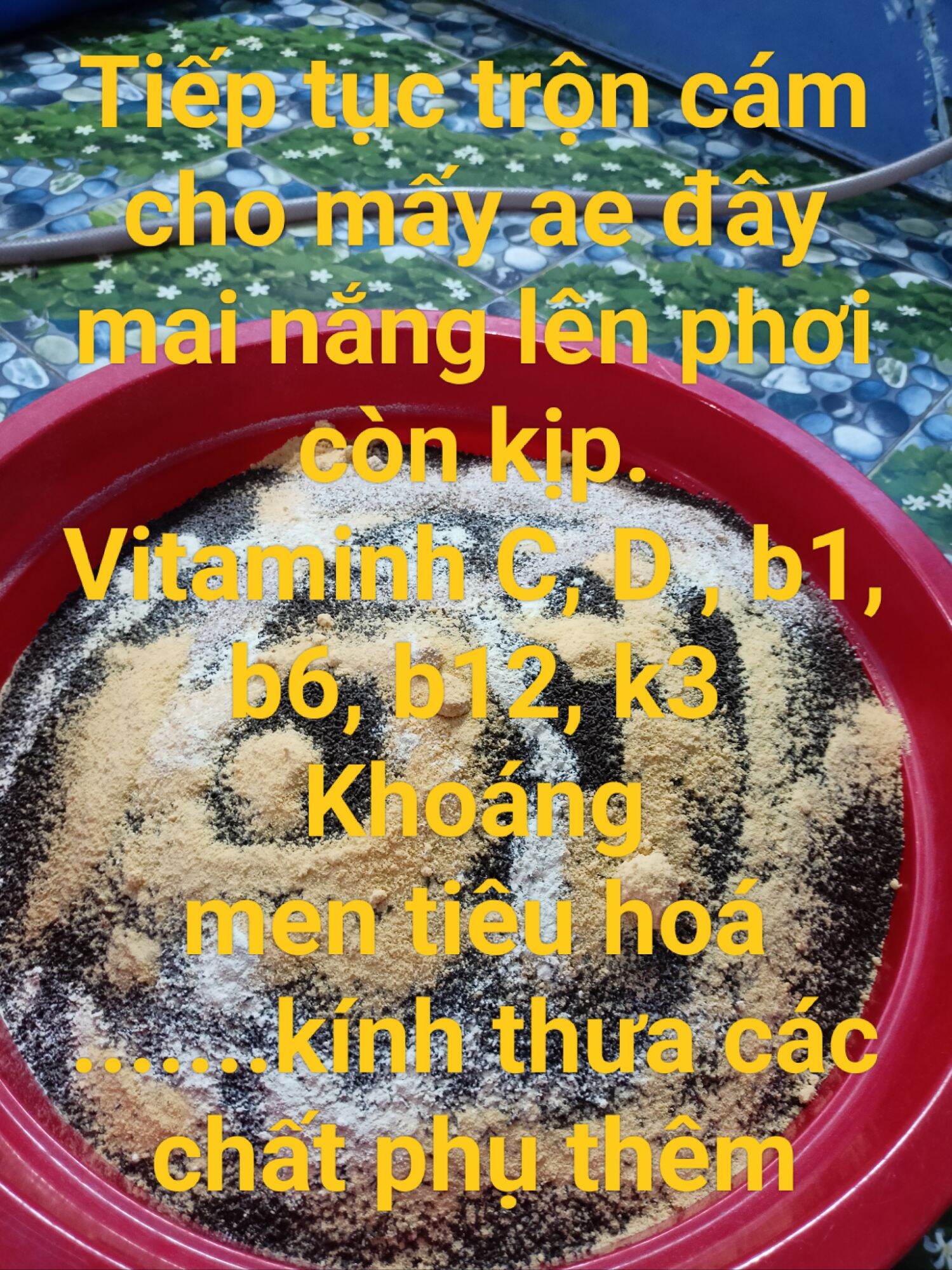 [Nhập RS0822 giảm 30k cho đơn 99k]Cám cá vàng Goldfish Thriver 800gr(Cám chìm)