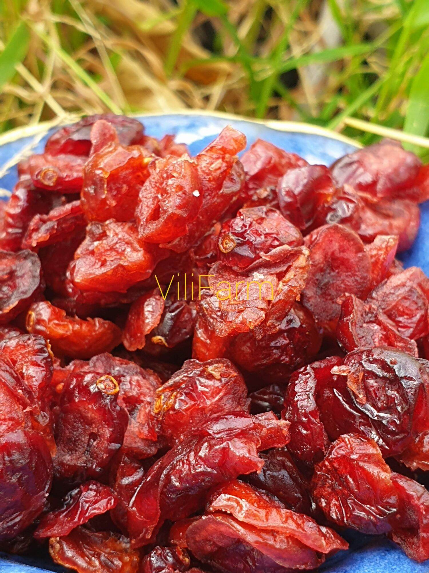 NAM VIỆT QUẤT SẤY LẠNH
