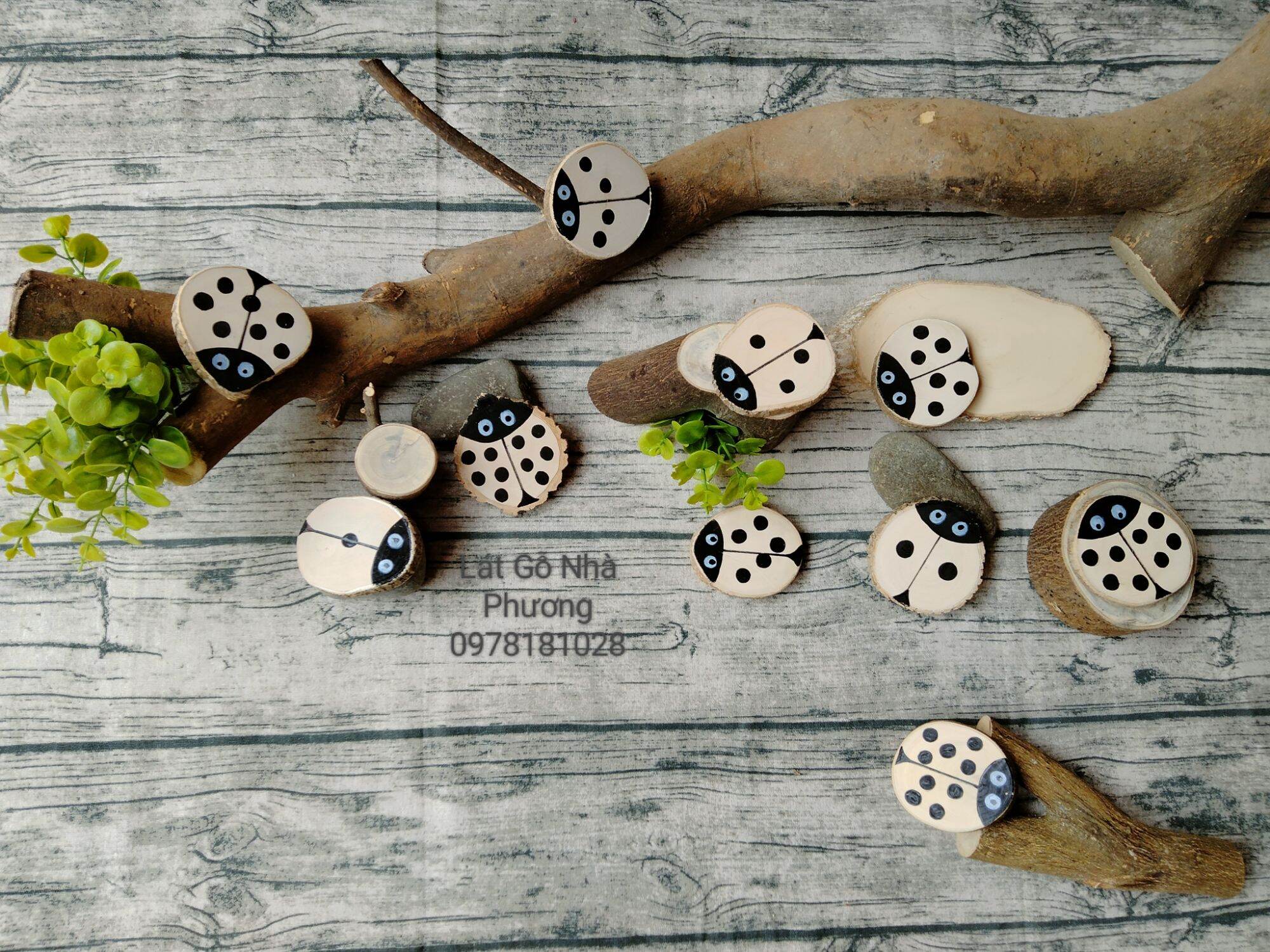 Set học số 0-10 lady bug