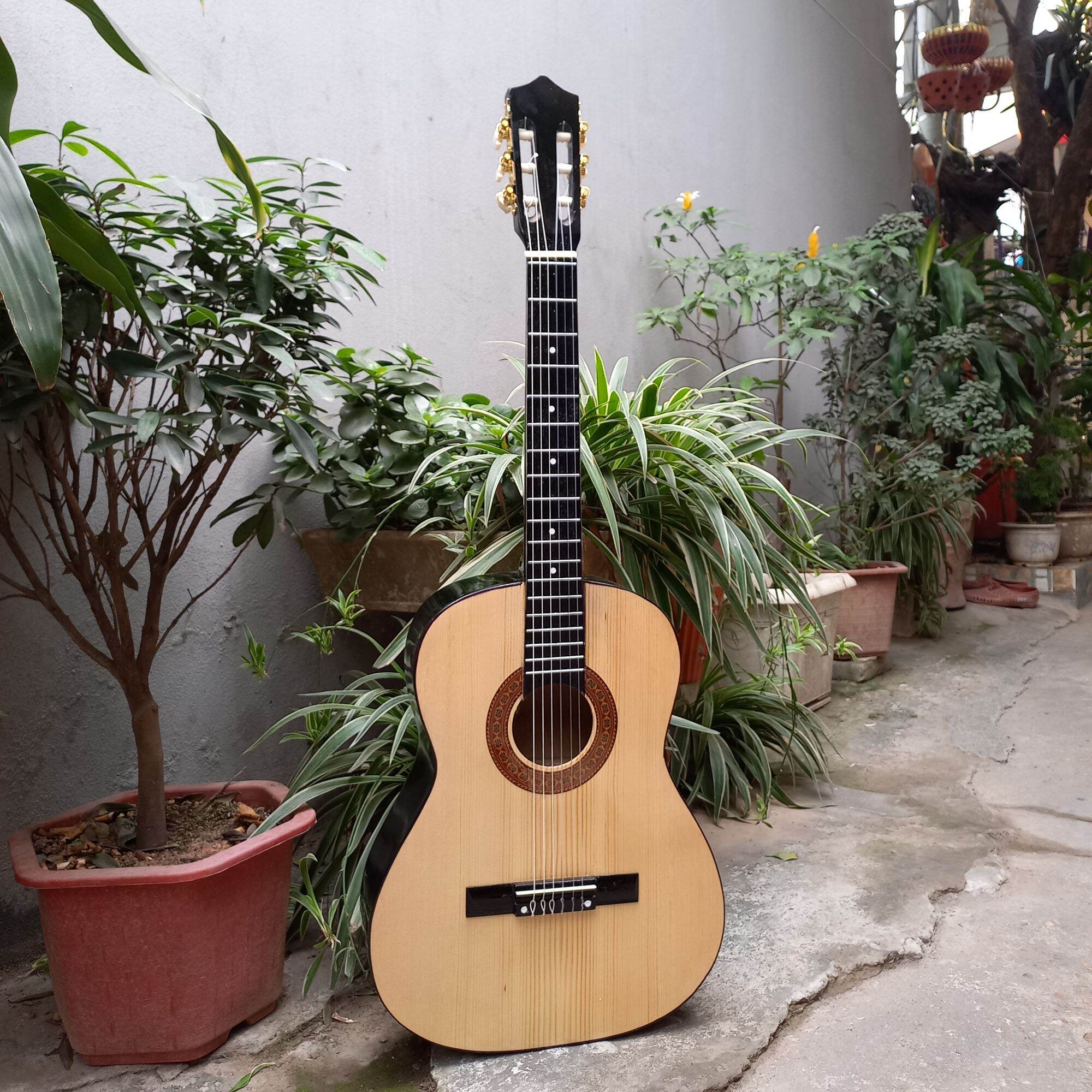 Đàn guitar Classic S45 full bao, capo, bộ dây dự phòng, pick, sách hướng dẫn