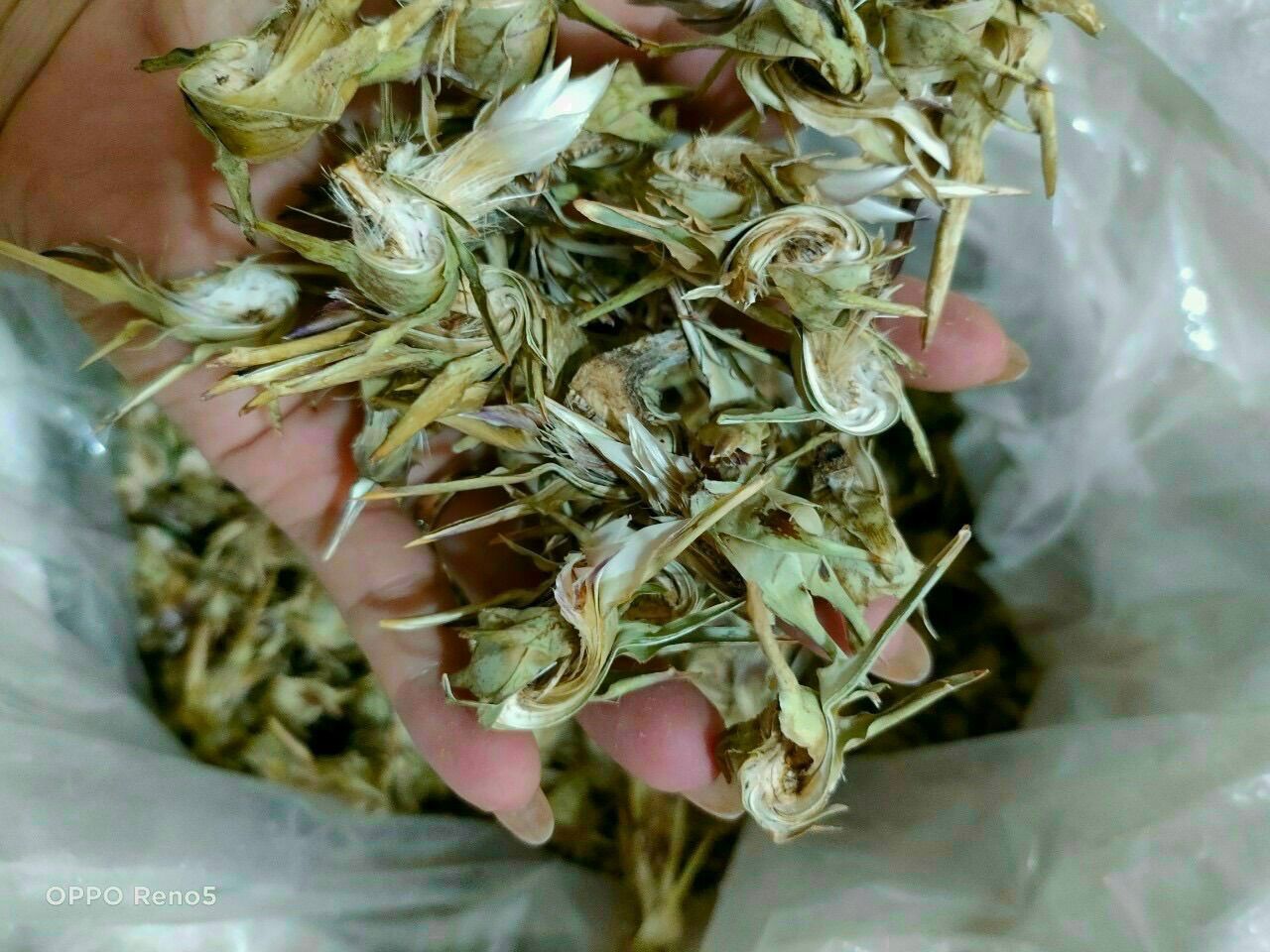 Hoa Actiso khô 1kg