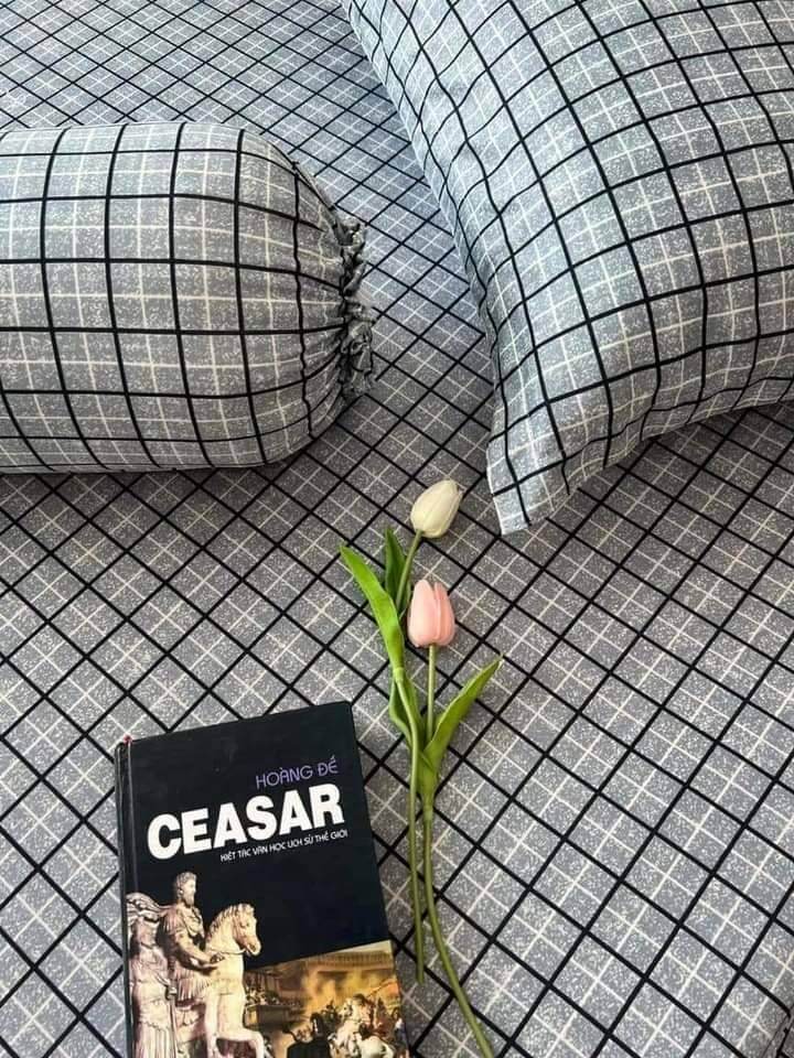 Áo bọc nệm 2 mặt có dây khóa kéo bảo vệ nệm ( đủ kích thước )thun lạnh hàn quốc cao cấp