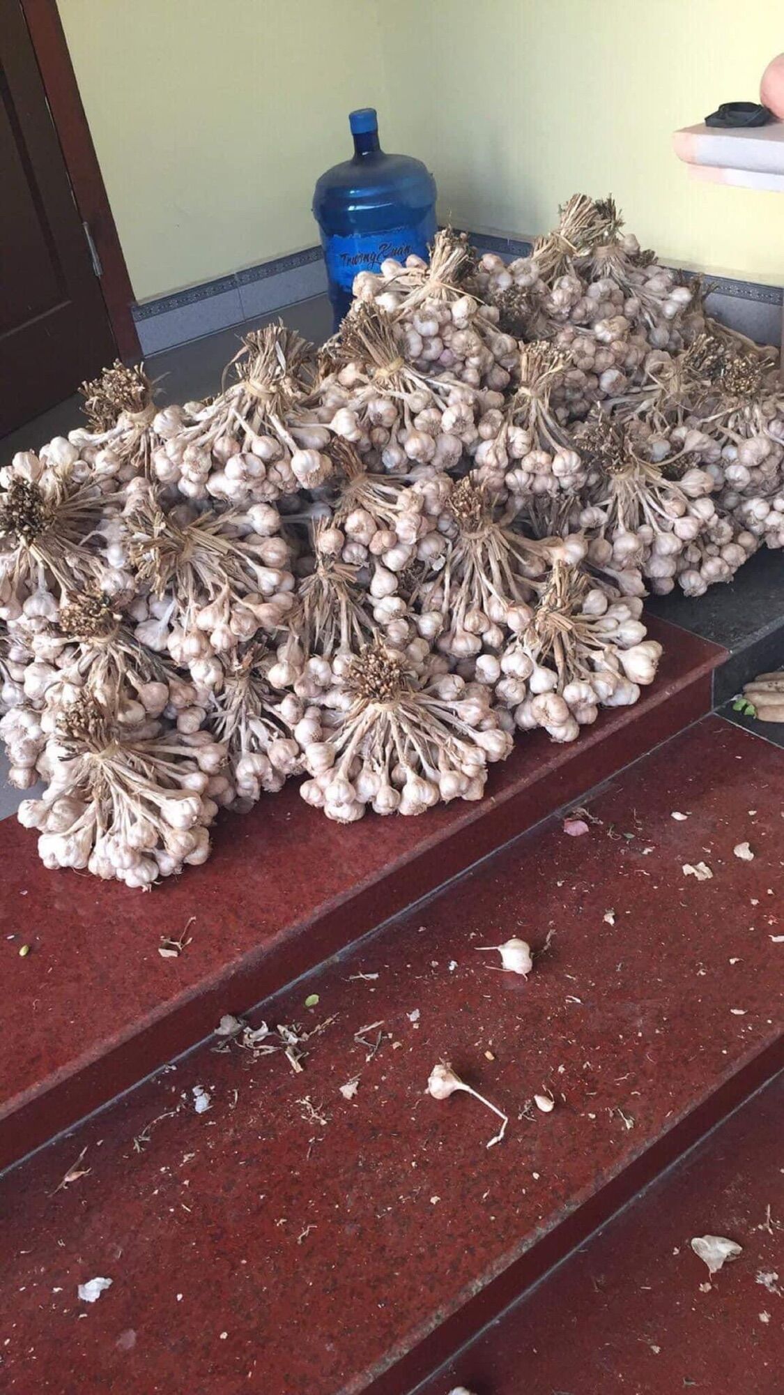 Tỏi ta 1kg ( tỏi lý sơn)