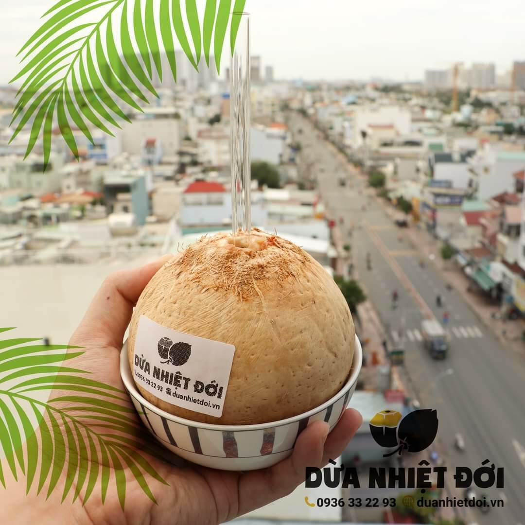 Dừa Xiêm Gọt Trọc Size Lớn (400-500G) | Dừa Xiêm Bến Tre - Nước Trái Cây |  Vinmart.Co