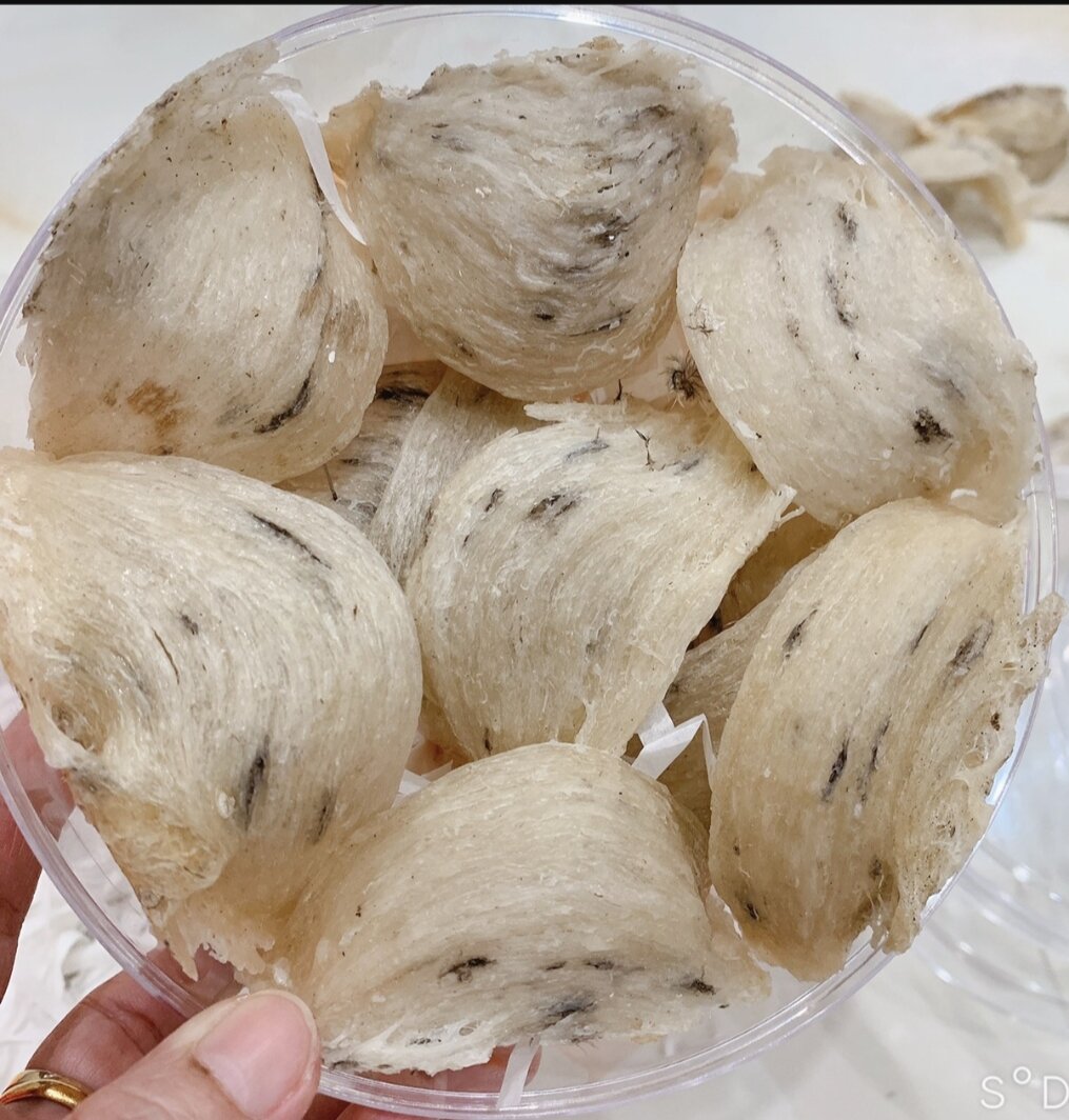Tổ yến thô-1 hộp 200g