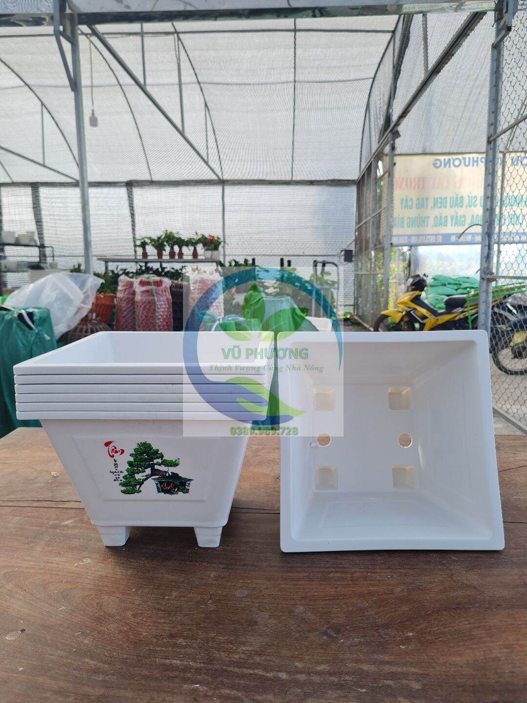 Chậu vuông 200 in hoa bốn mùa kích thước miệng 20cm