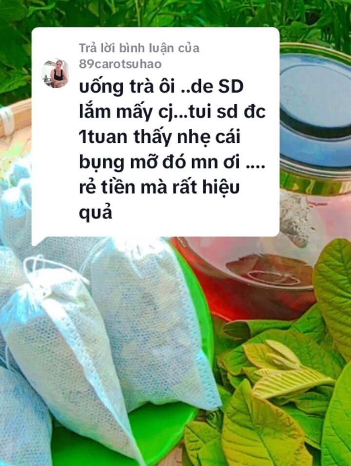 Trà lá Ổi giảm cân 30 gói