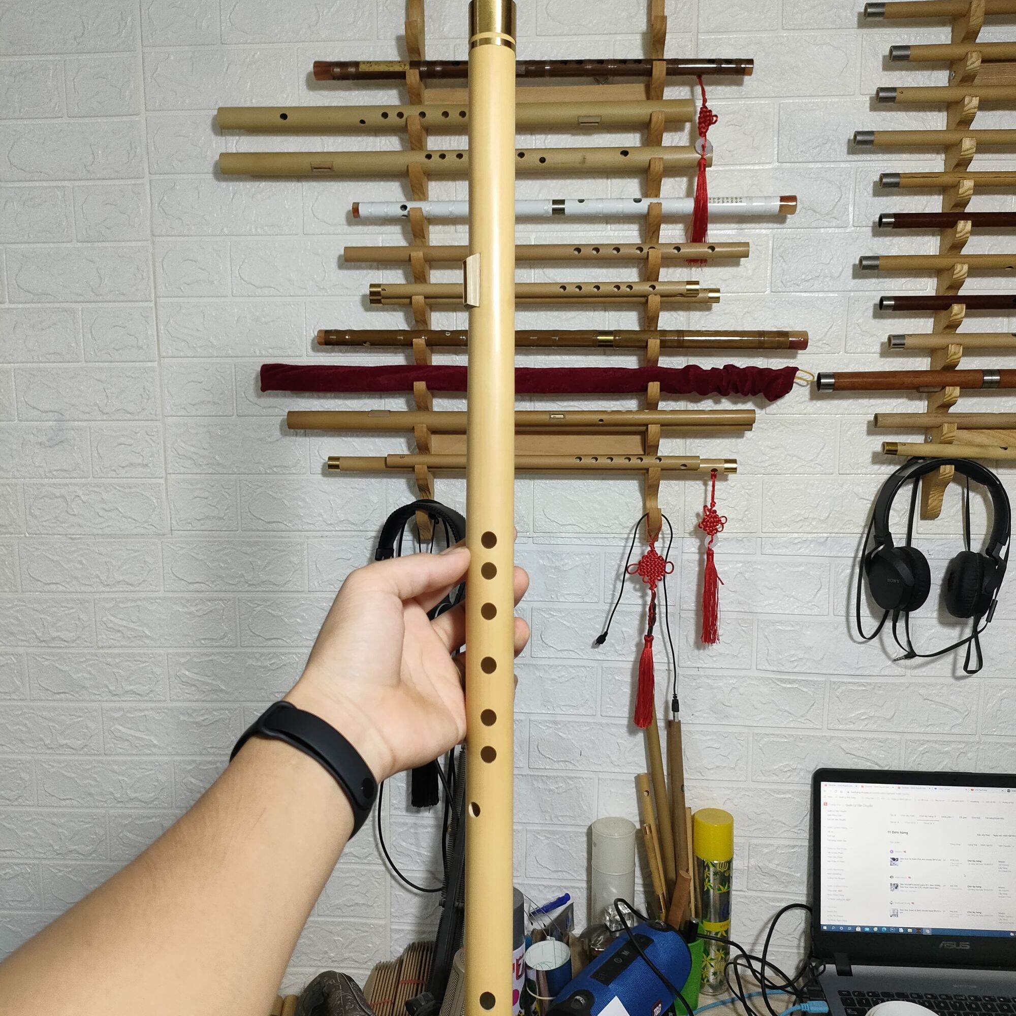 Sáo mèo việt