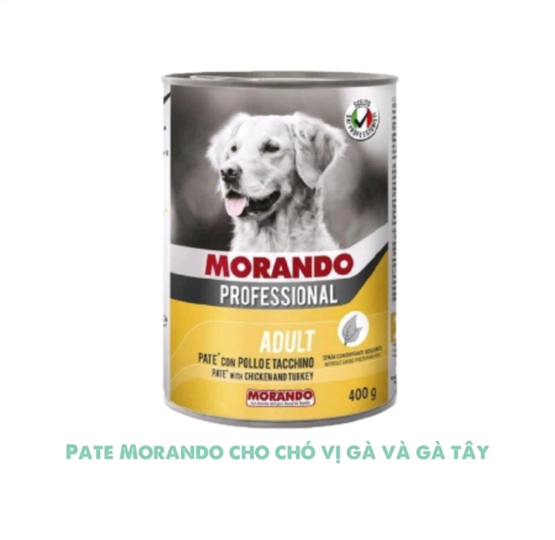 Pate cho chó Morando nhiều vị thơm ngon lon 400g