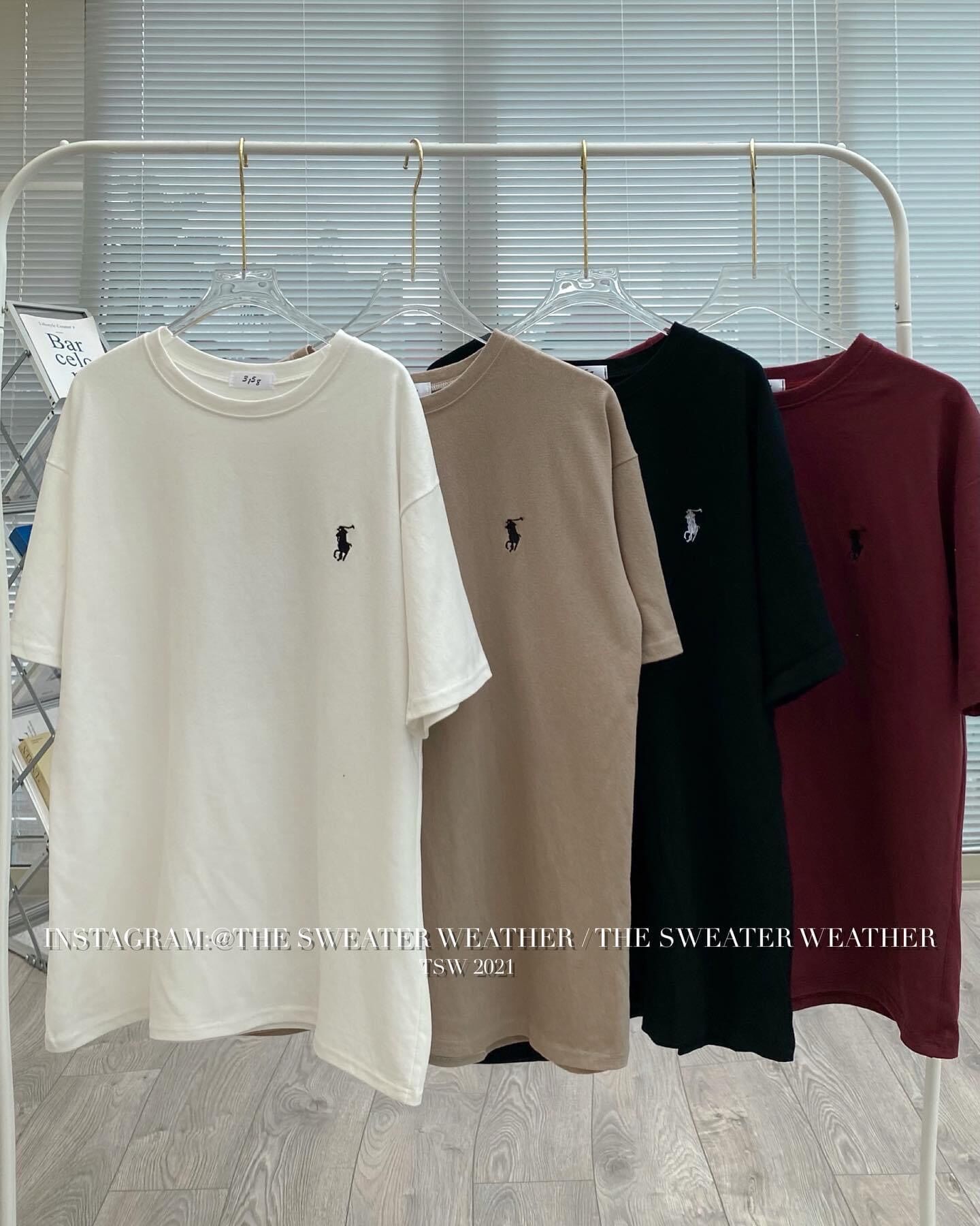 (Ảnh thật) Áo phông thêu hình nhỏ basic oversize the.sweaterweather TSW