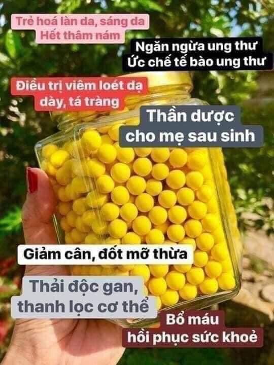 viên nghệ sữa ong chúa