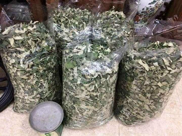 1kg Lá Sen Khô xanh đẹp