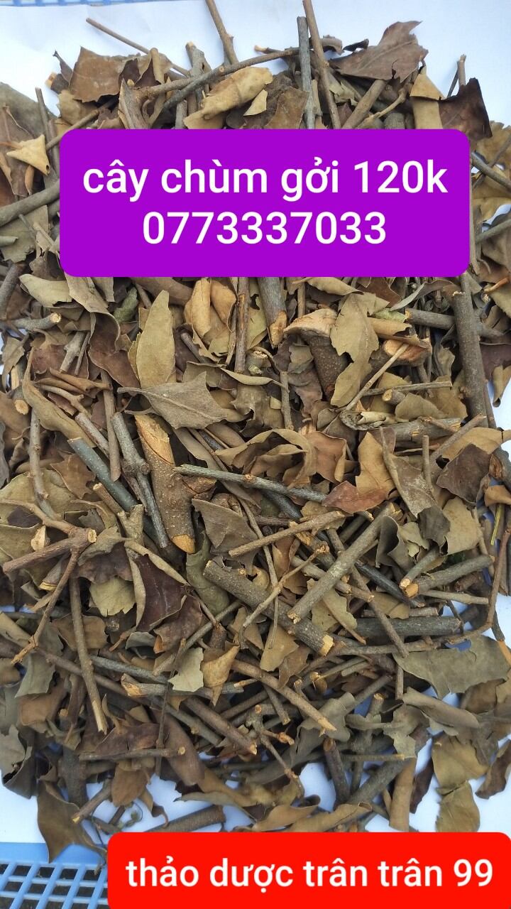 Cây chùm gởi phơi khô 1kg