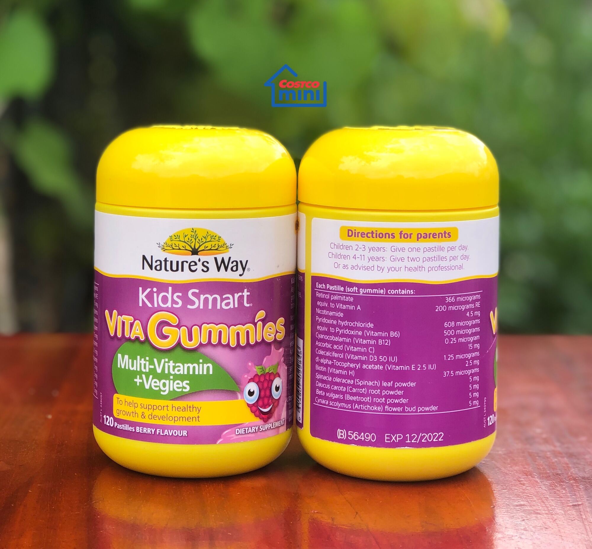 Nature s Way Vita Gummies Multi Vitamin Vegies 120 viên